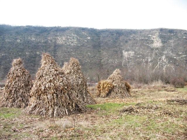 Butuceni (Orhei Vechi)