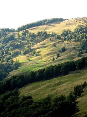 Dzielnica handlowa Padó